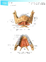 Sobotta Atlas of Human Anatomy  Head,Neck,Upper Limb Volume1 2006, page 113